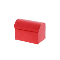 10x Hutkoffertje of piratendoosje diverse kleuren