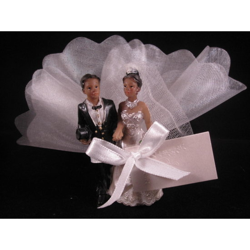 bruidspaar donker met tule