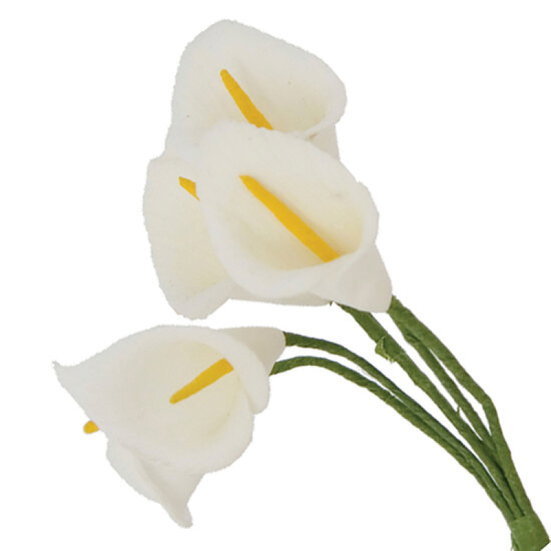 12x lelie of aronskelk mini