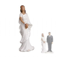 Bruidspaar India sari en zwart pak