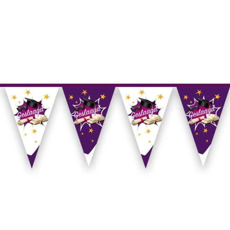 vlaggenlijn geslaagd wit/paars